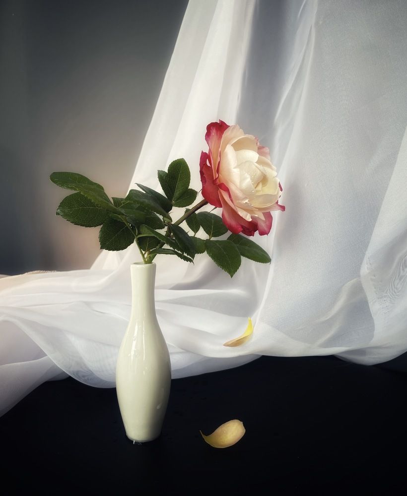 Фотография автора Рамзия Хисамутдинова