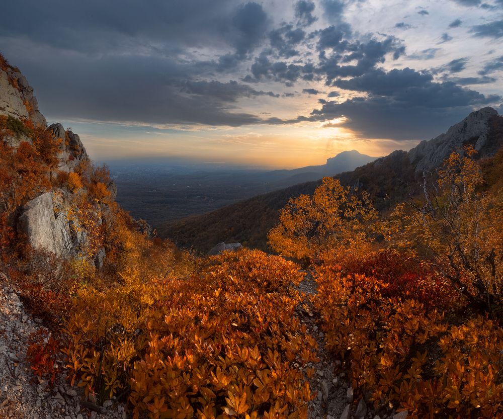 Photograph by Елена Брежицкая