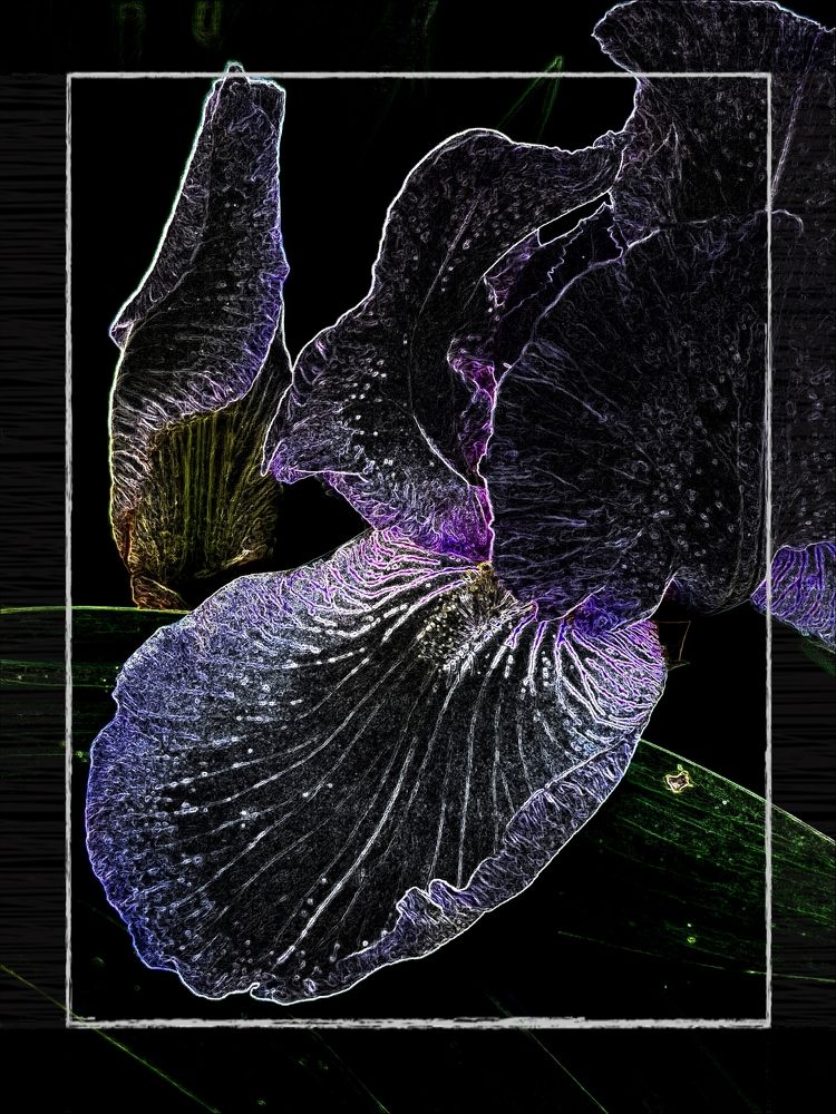 Photograph by Наталия Питолина