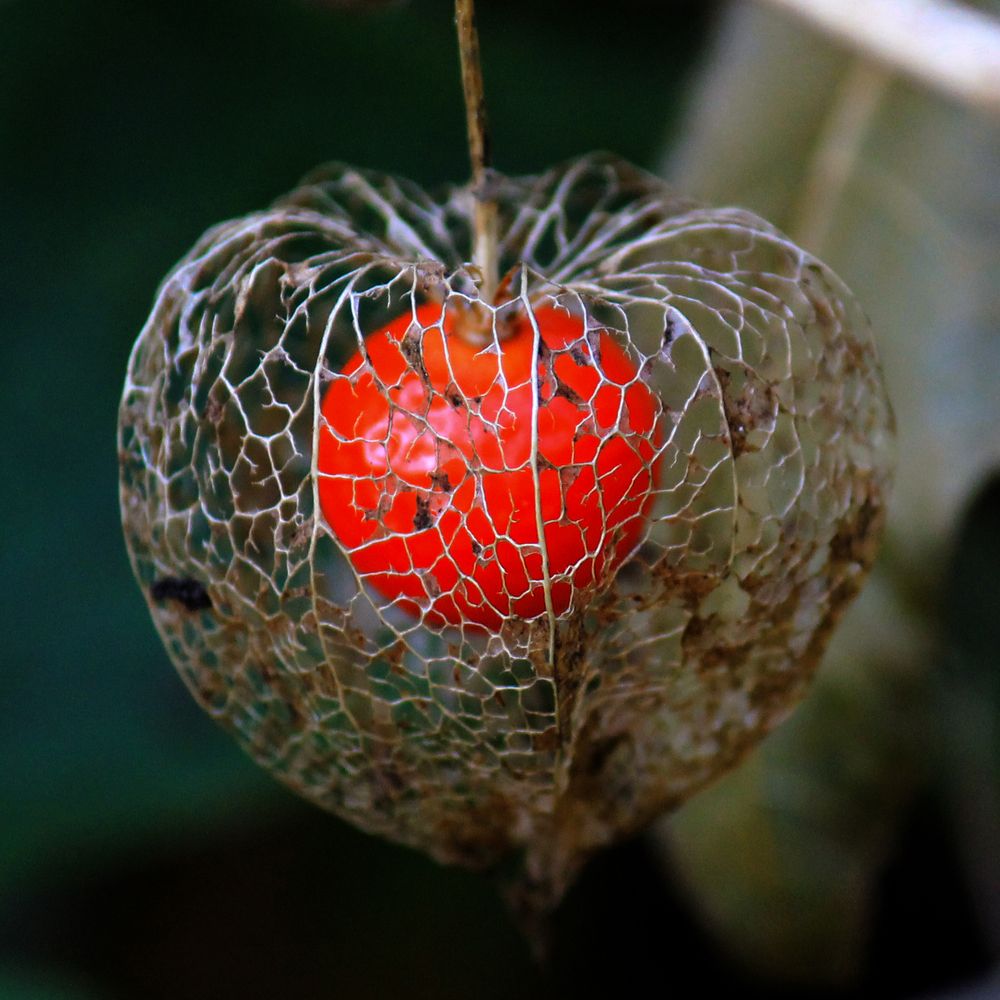 Photograph by Дина Железнова