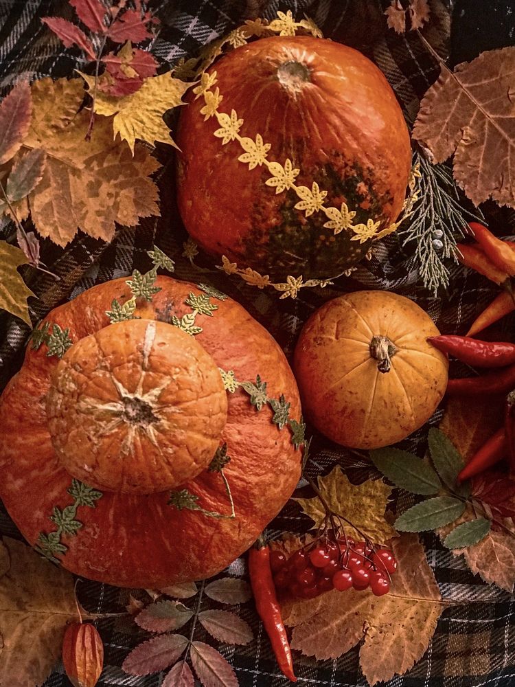 Photograph by Наталья Перерва