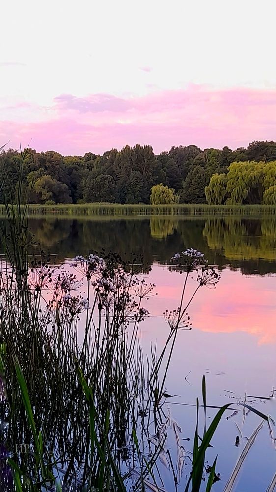 Photograph by Ирина Родионова