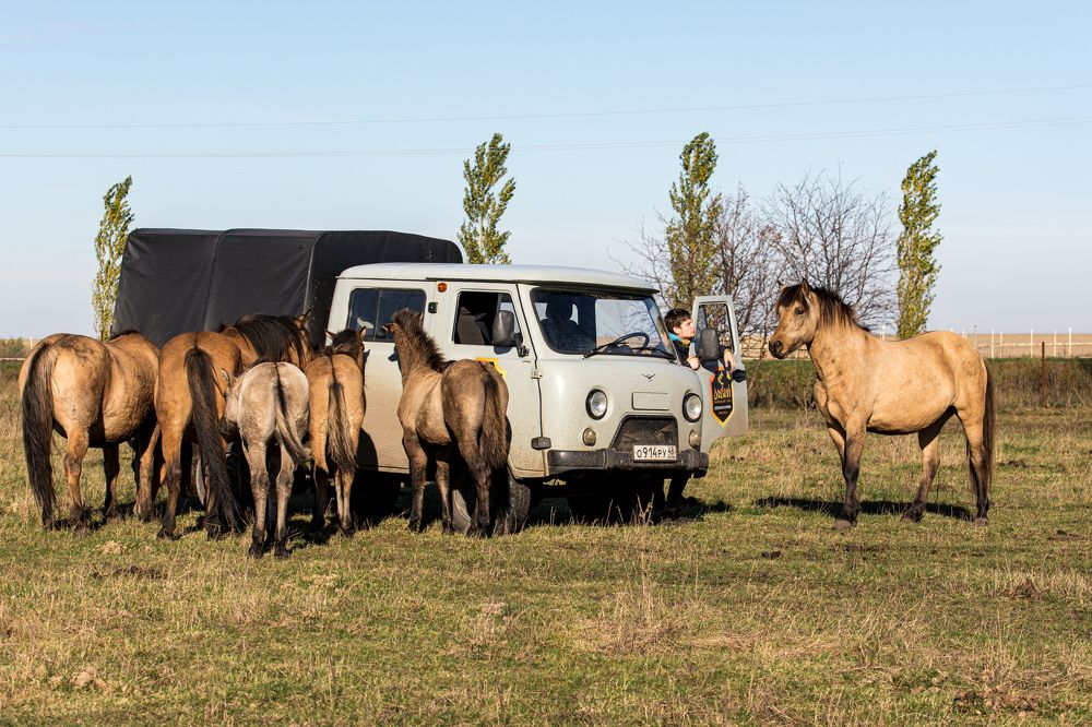 Photograph by Алексей Кузьмин