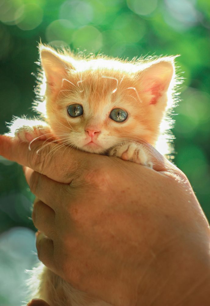 Photograph by Дина Железнова