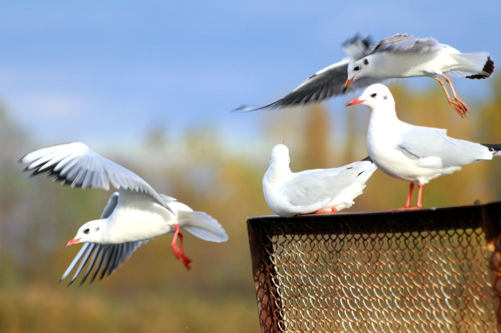 Photograph by Андрей Хитрун