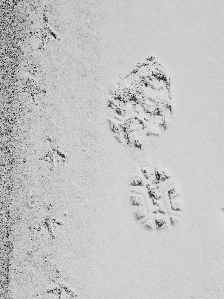 Фотография автора Максим Грибанов