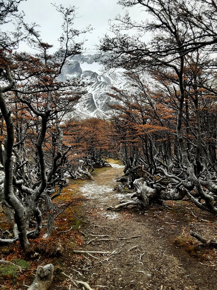 Photograph by Daniela