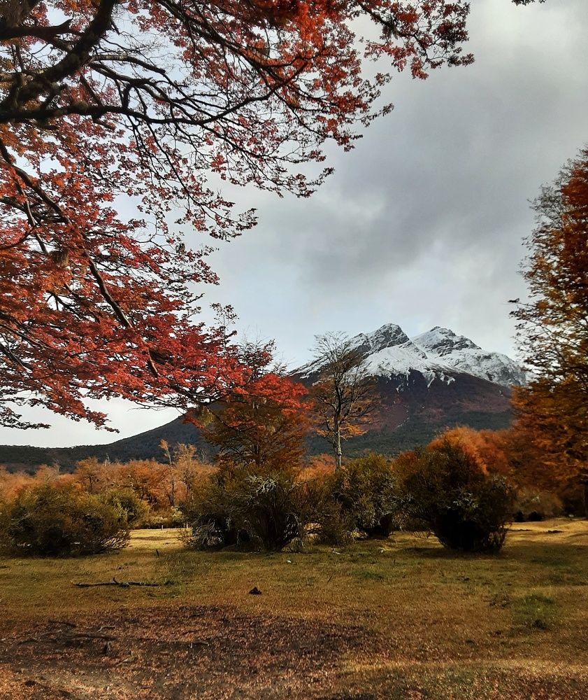 Photograph by Daniela