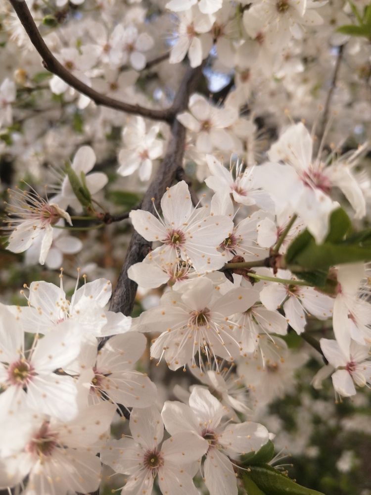 Photograph by Юлія Гацко