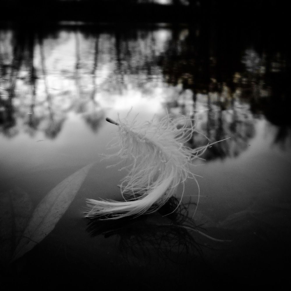 Фотография автора Геннадий Ломеко