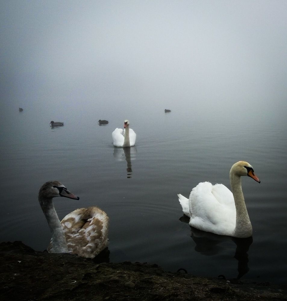 Фотография автора Геннадий Ломеко