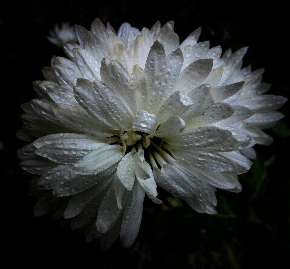 Фотография автора Геннадий Ломеко