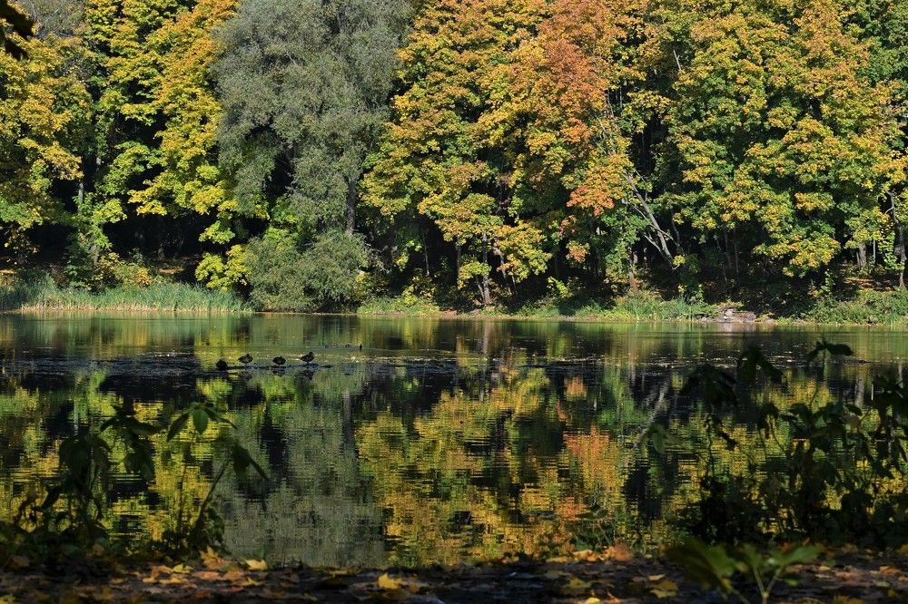 Фотография автора IRINA FILIPPOVA