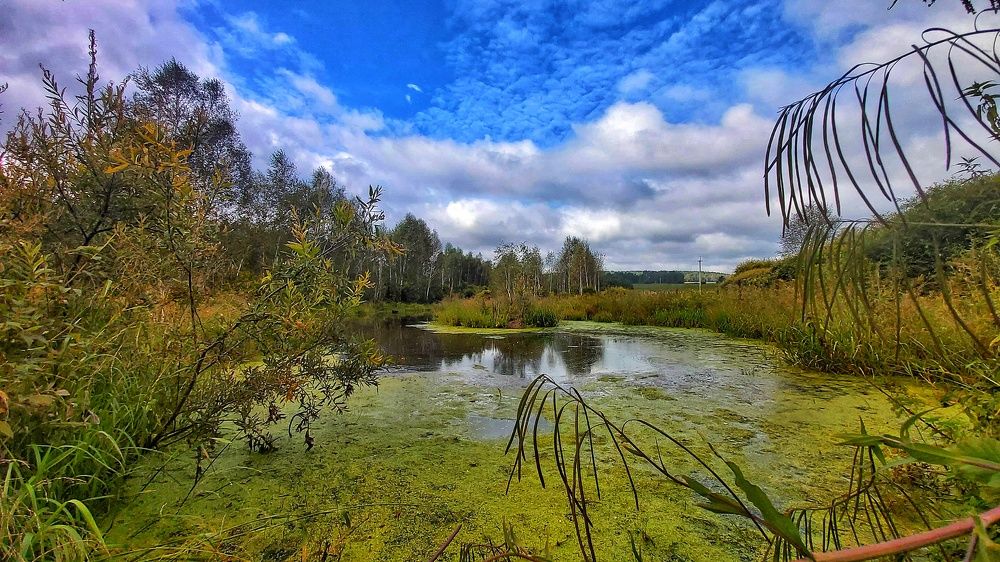 Photograph by Владимир Огородников