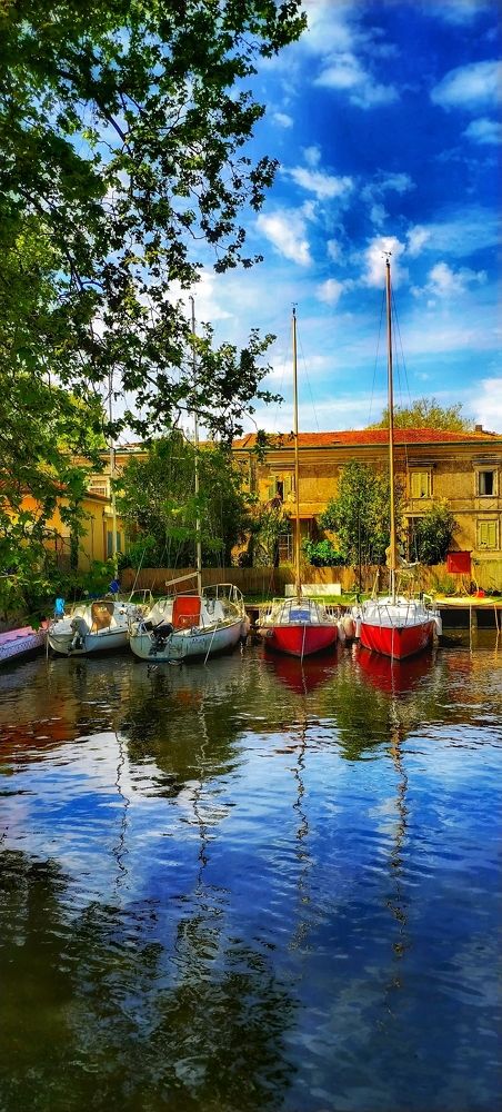 Photograph by Елена Егорова