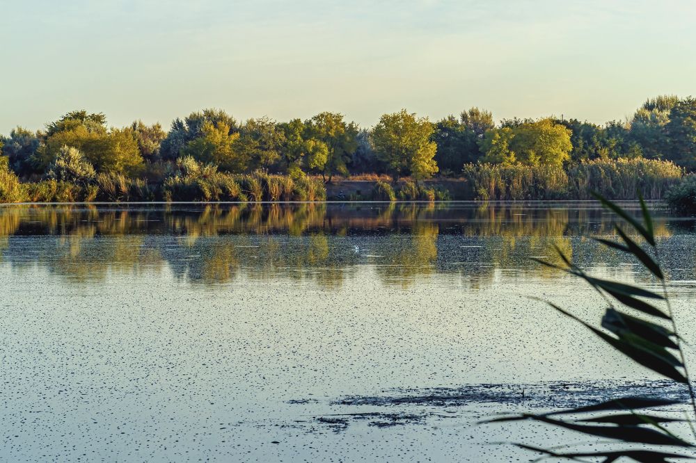 Утром на водохранилище, рассвет..