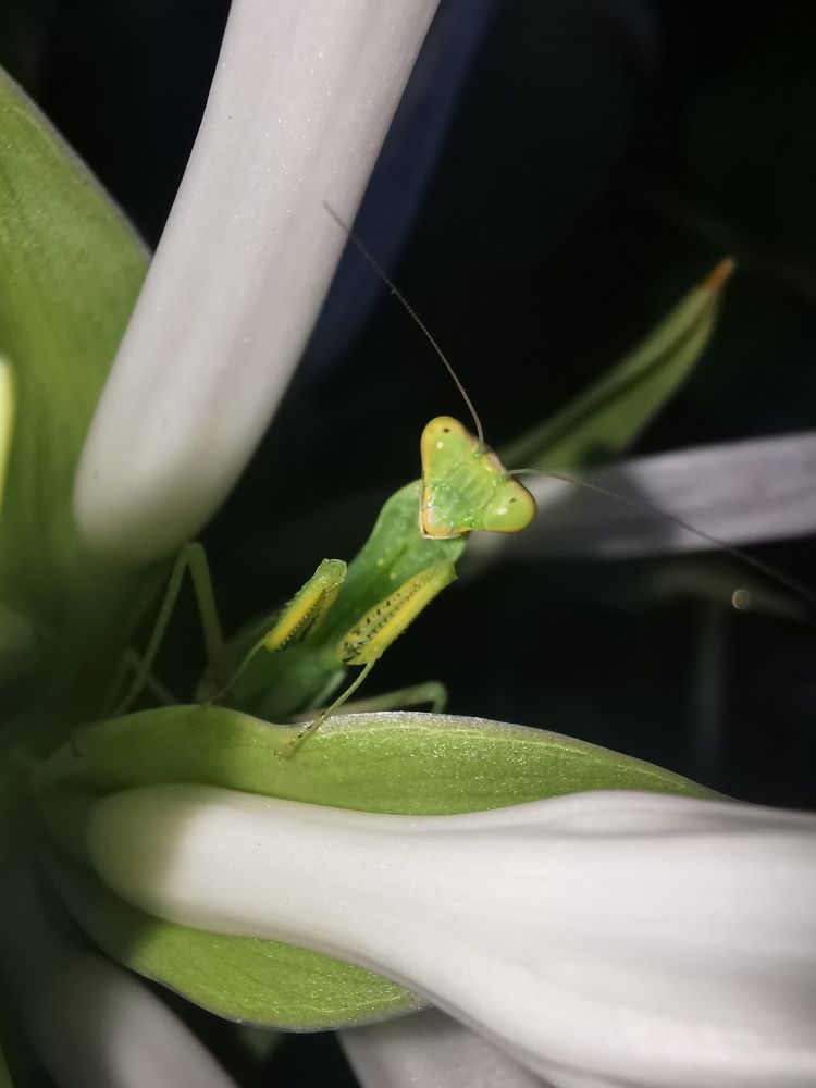 Photograph by Оксана Маракушина