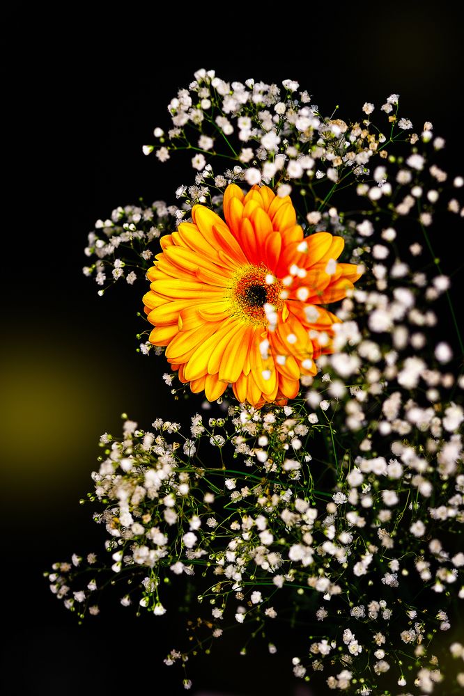 Photograph by Светлана Голубева