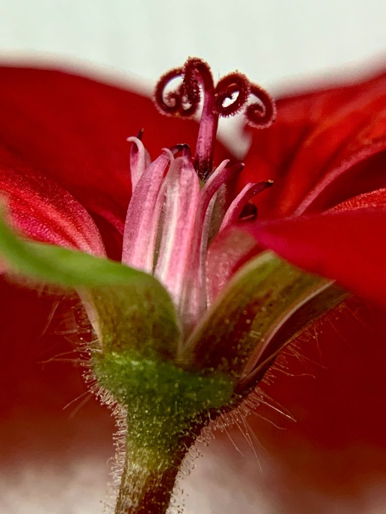 Photograph by Елена Макуха