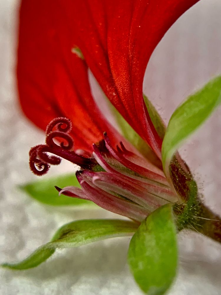 Photograph by Елена Макуха