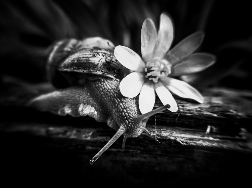 Photograph by Оксана Маракушина