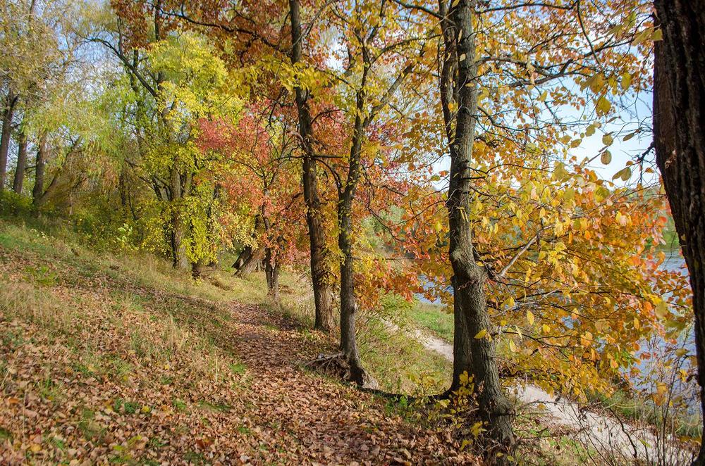 Photograph by Fantomas