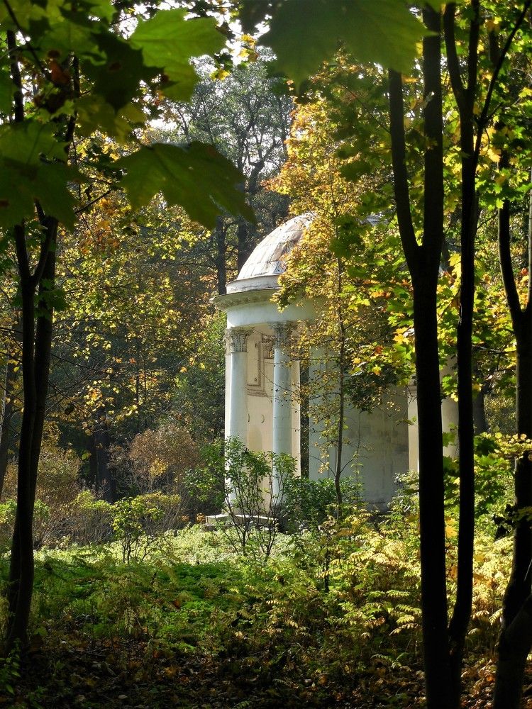 Фотография автора IRINA FILIPPOVA