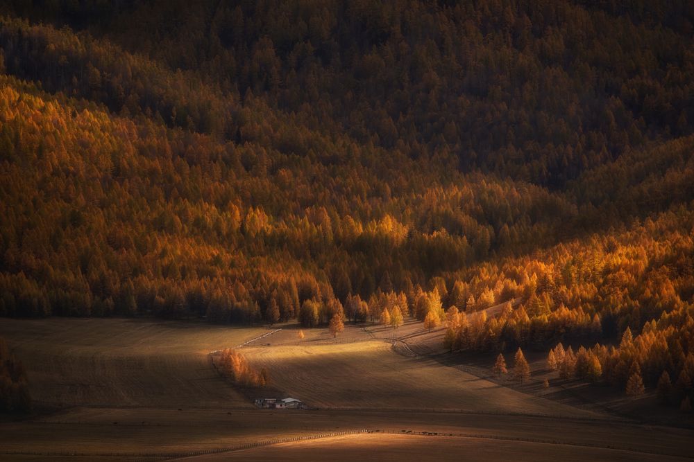 Photograph by Рудченко Ольга