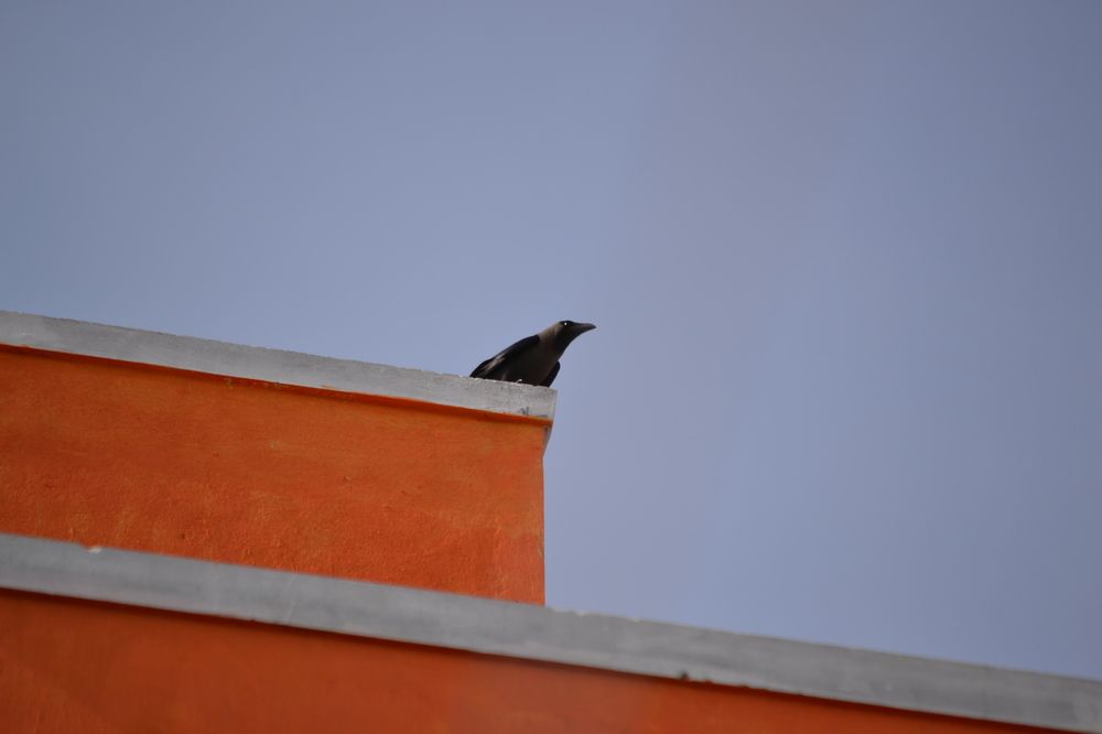 Фотография автора Nadarajan Lakshmanswamy