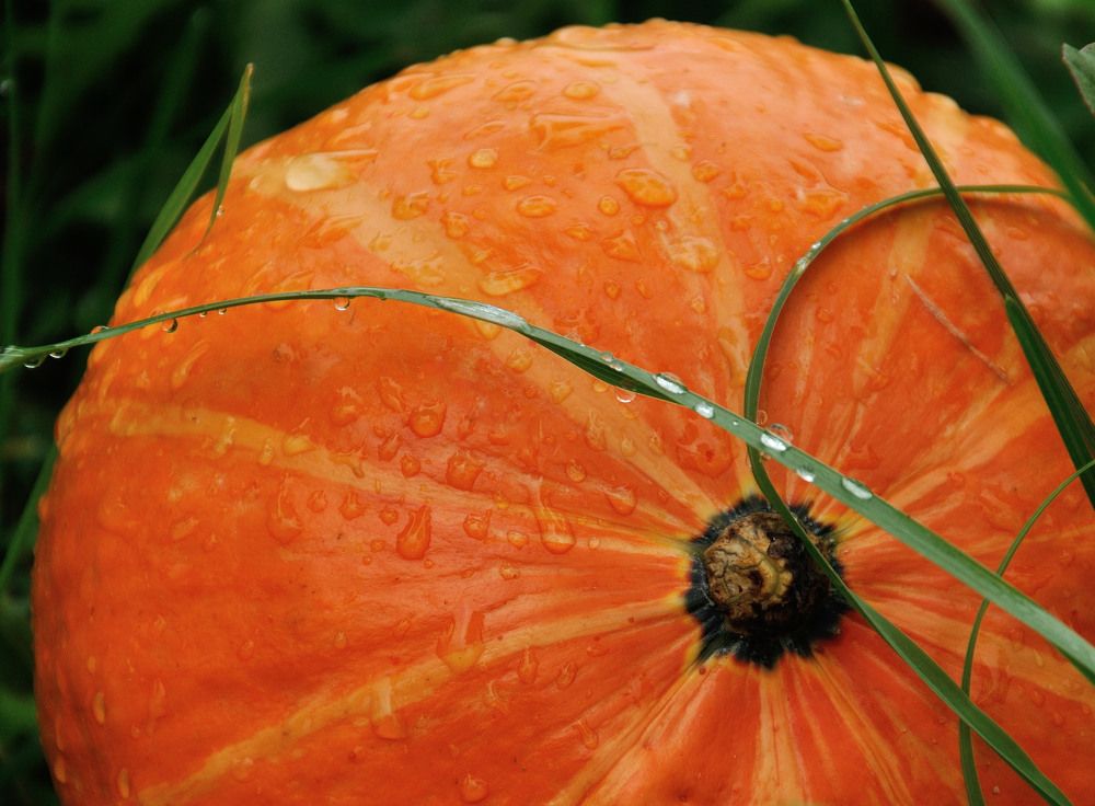 Photograph by Андрей Куликов