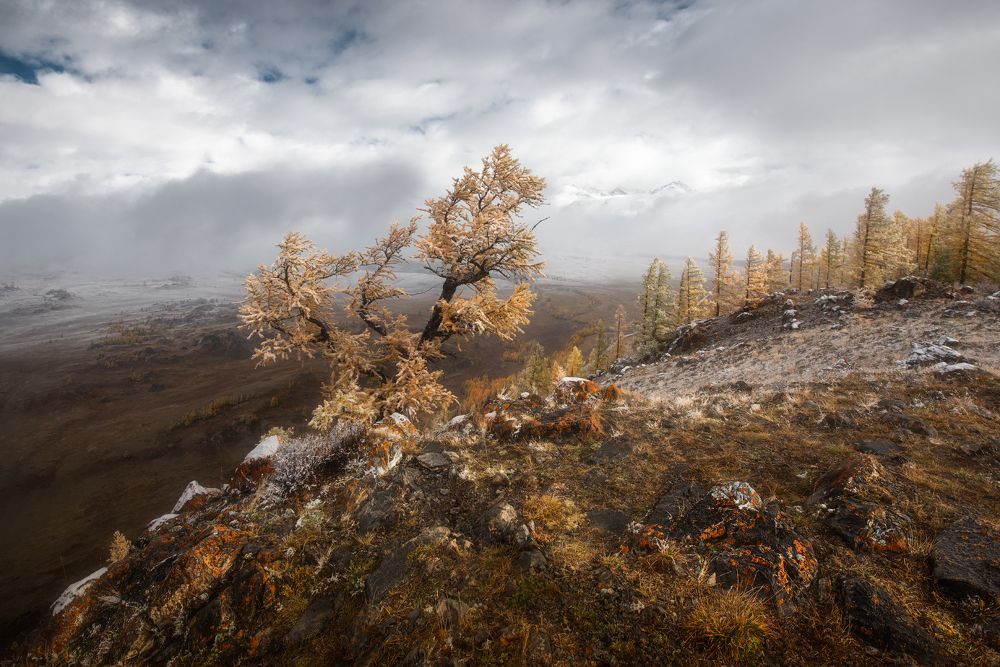 Фотография автора Рудченко Ольга