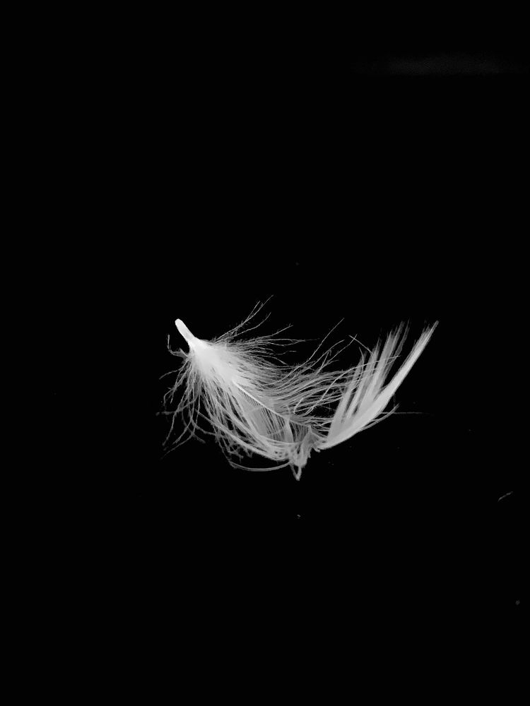 Photograph by Елена Макуха