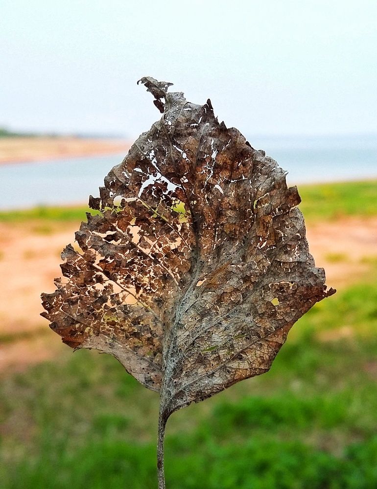 Photograph by Владимир Огородников