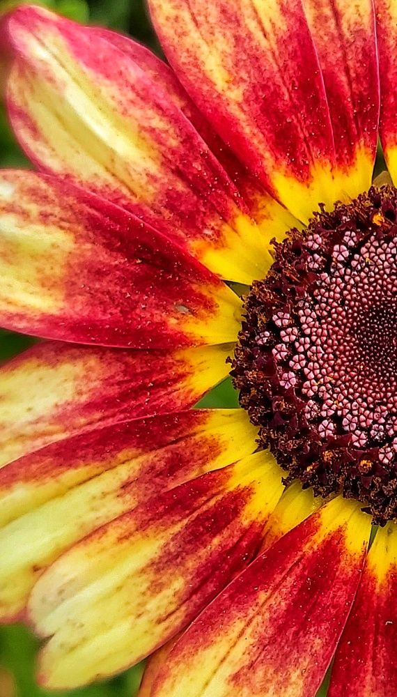 Photograph by Владимир Огородников