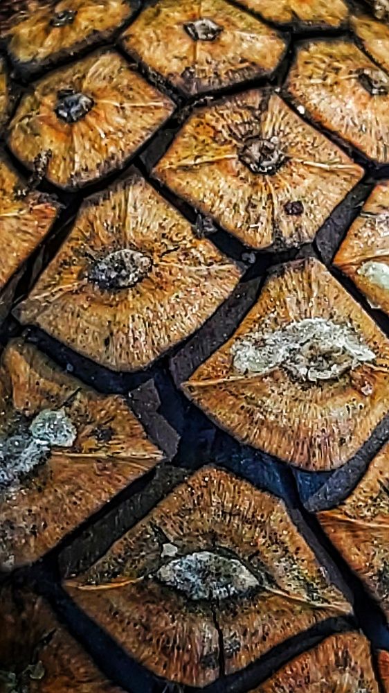 Photograph by Владимир Огородников