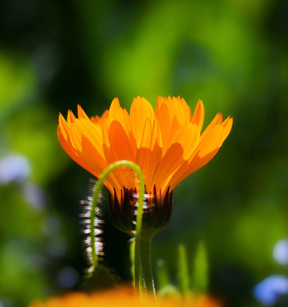 Photograph by Виктория Уварова