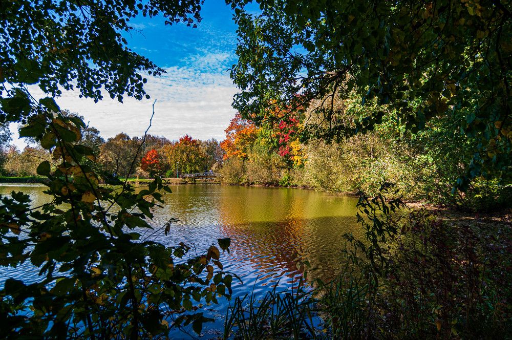 Фотография автора Виталий Дузь