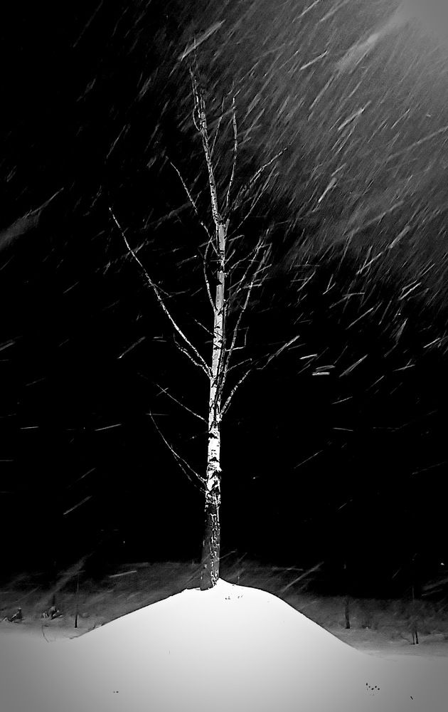 Photograph by Лада Денисова