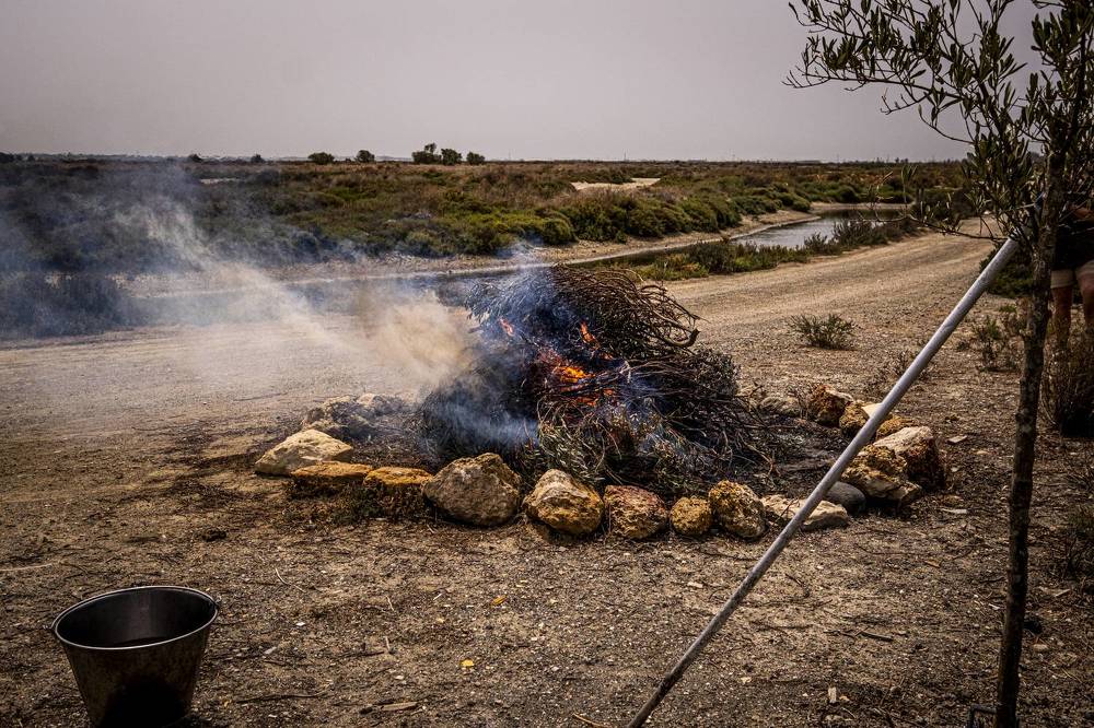 Una mañana en el Estero.