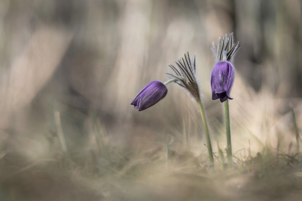 Photograph by Alexander Semenko