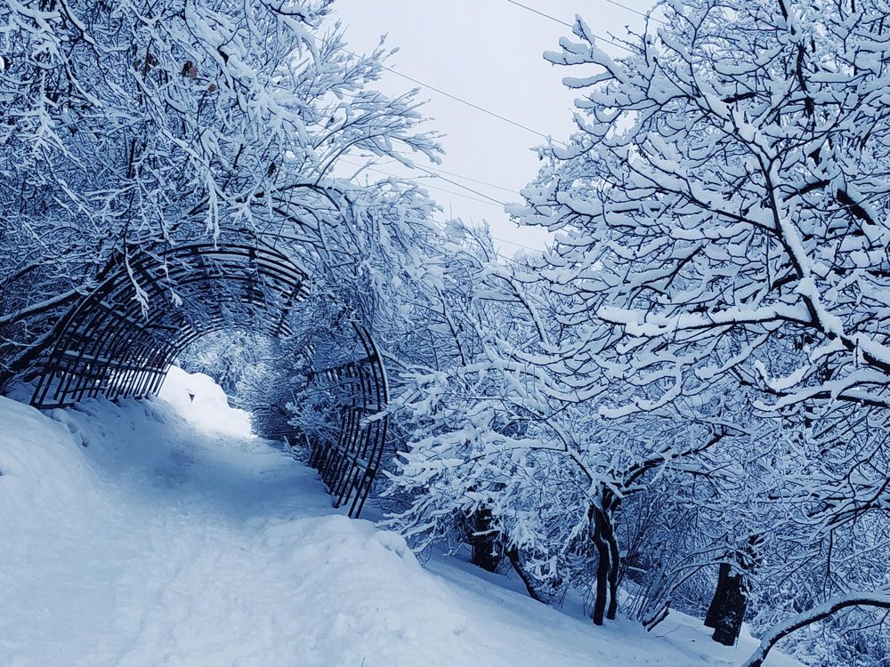 Photograph by Анна