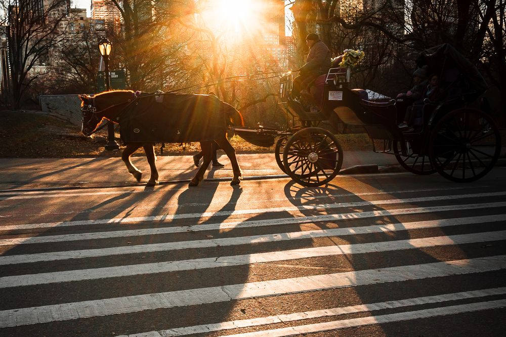 Photograph by Кермен Манджиева