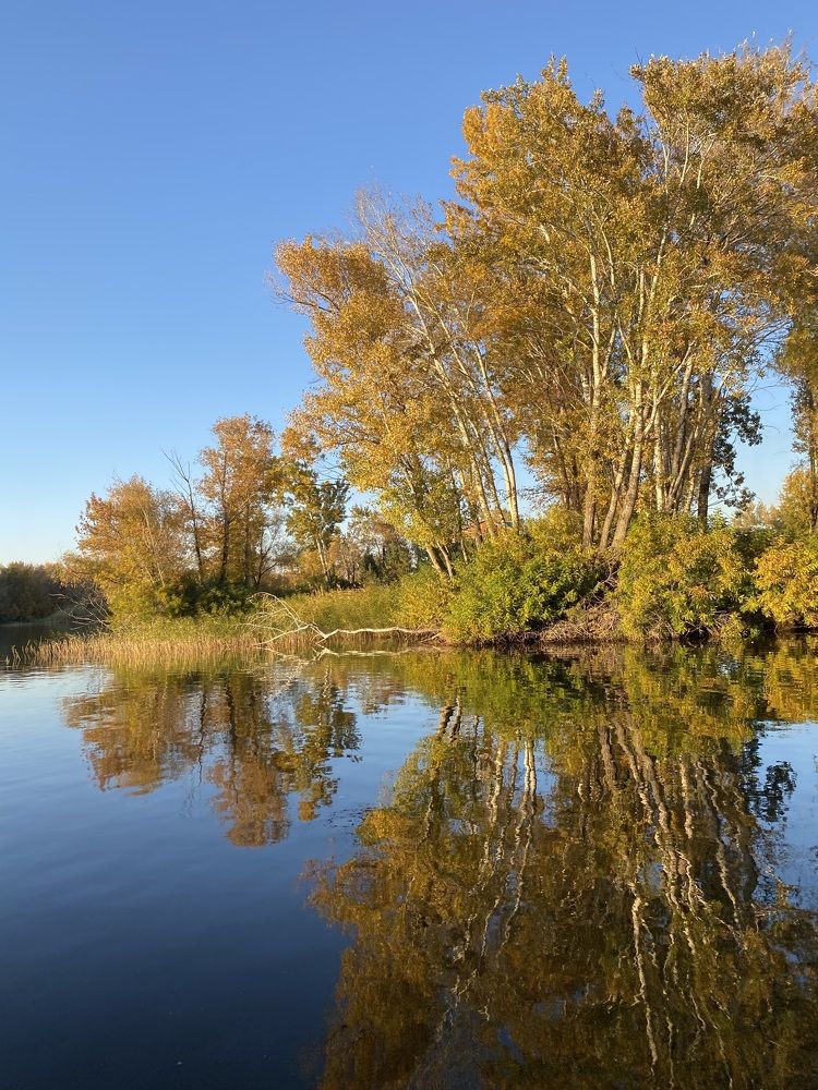 Photograph by Olga Kobylenkova