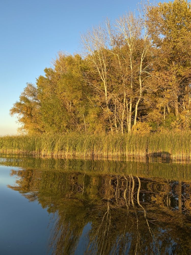 Photograph by Olga Kobylenkova