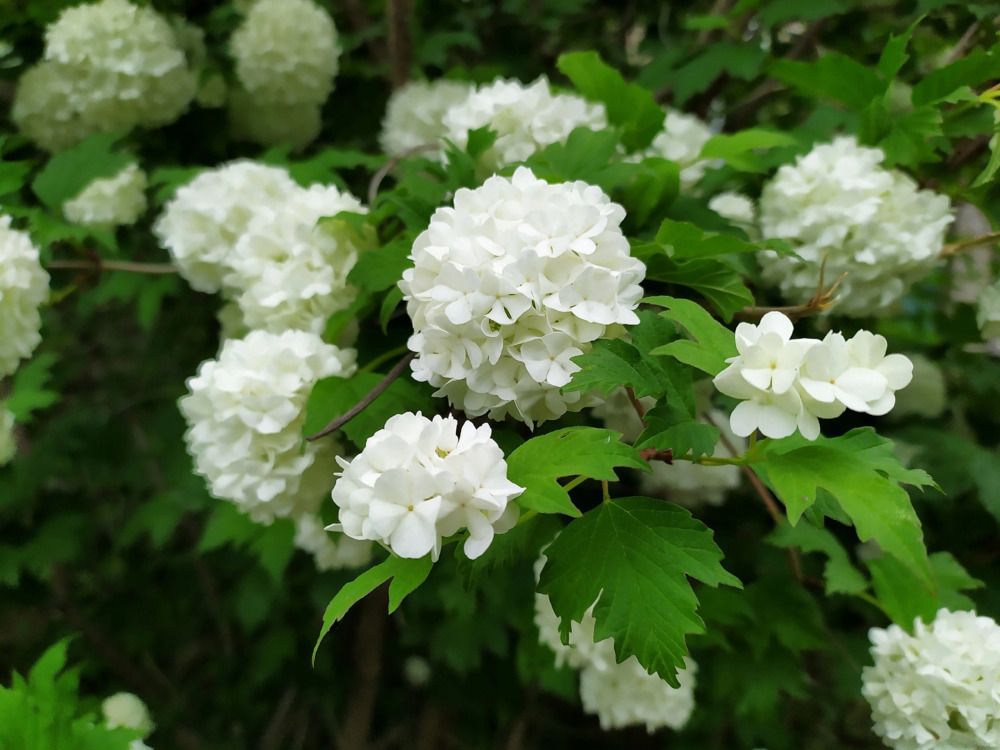 Photograph by Юлия Смирнова