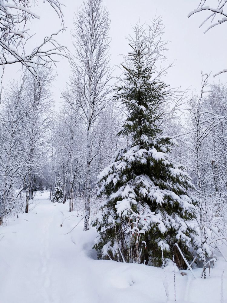 Photograph by Юлия Смирнова