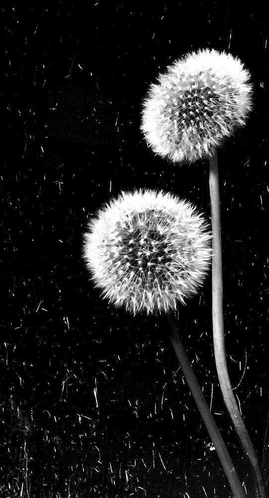 Photograph by Лада Денисова