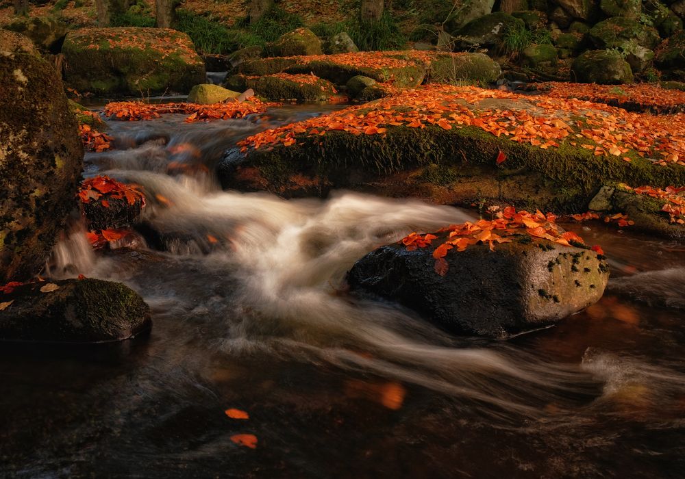 Фотография автора Kanstantsin Markevich