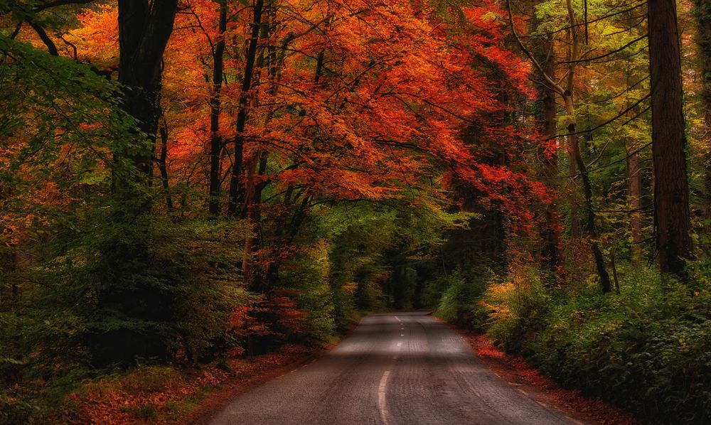 Photograph by Kanstantsin Markevich