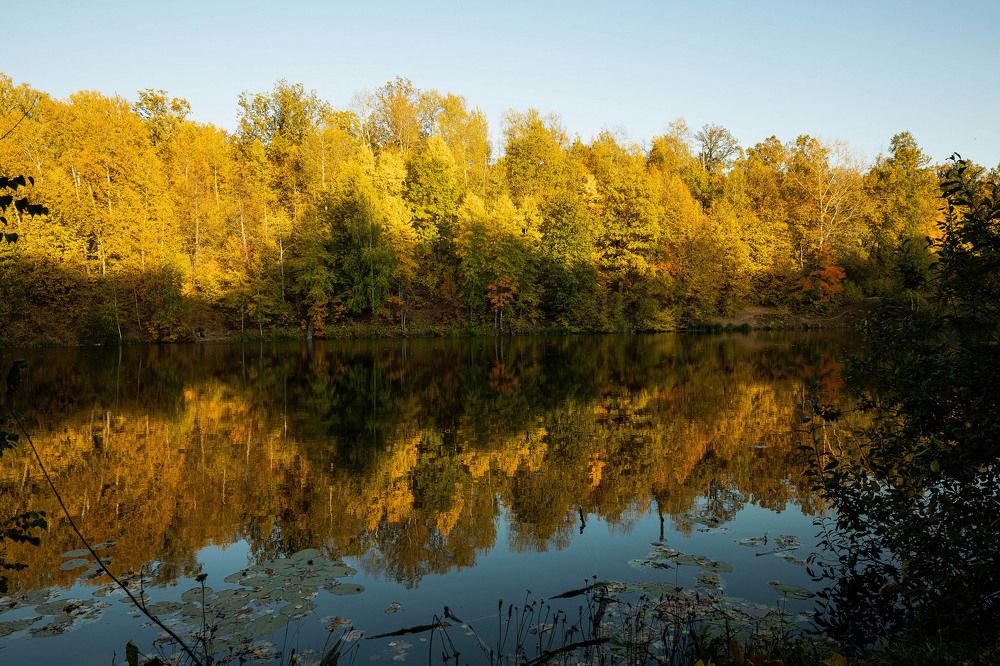 Photograph by Андриян чаркин